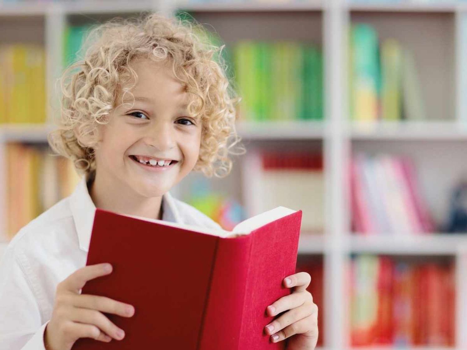 A primary student reading a book